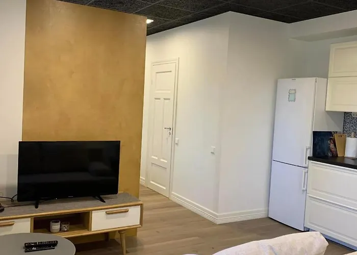 Jakobson House 公寓 拉普拉