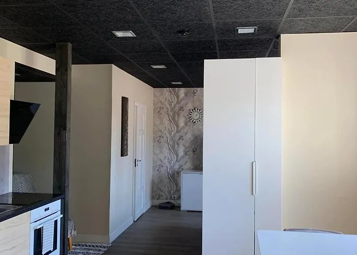 公寓 Jakobson House 拉普拉