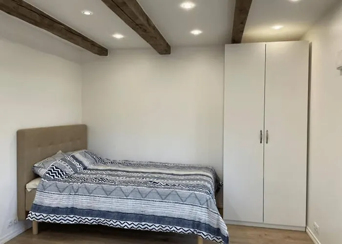 Jakobson House 公寓 拉普拉